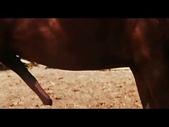 سحبت افلام سكسي موباشر بإحكام شقراء في غرفة بيضاء الثلج
